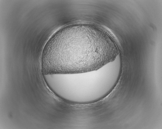 X0000116041236200912041805