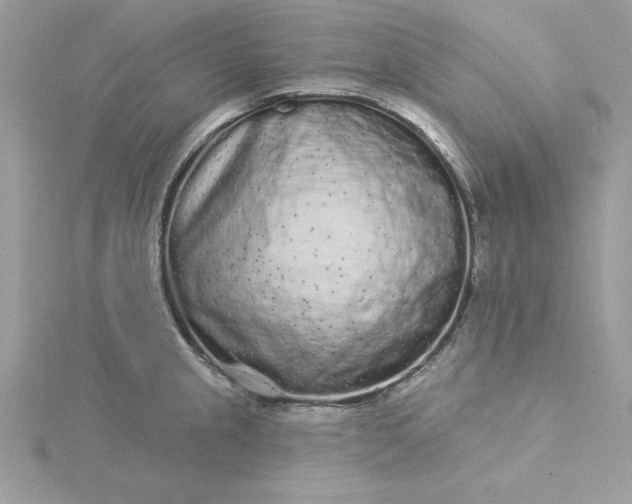 X0000116041237200912041805