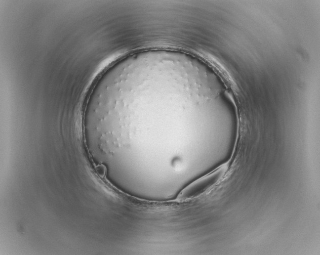 X0000116041238200912041805