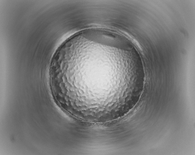 X0000116041239200912041805