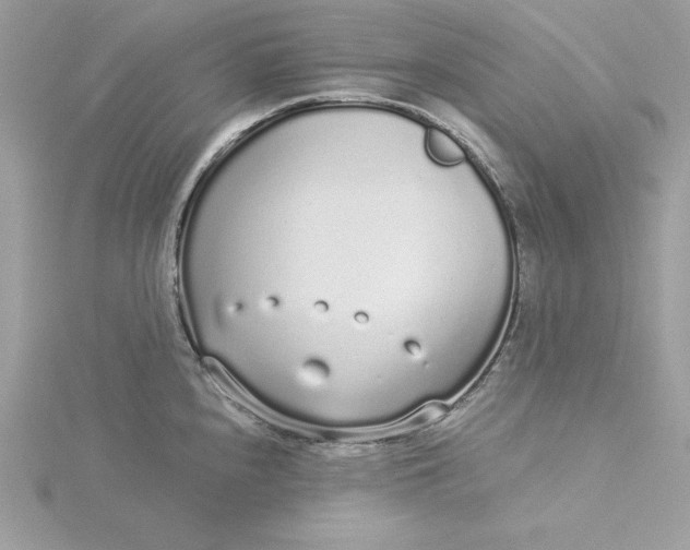 X0000116041240200912041805