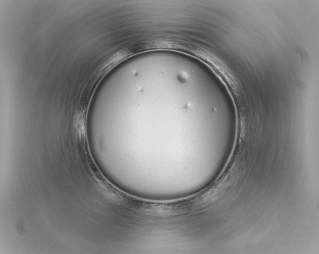 X0000116041241200912041805