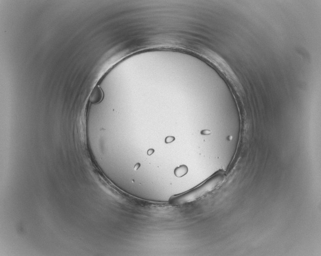 X0000116041242200912041805