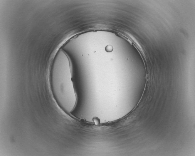 X0000116041243200912041805