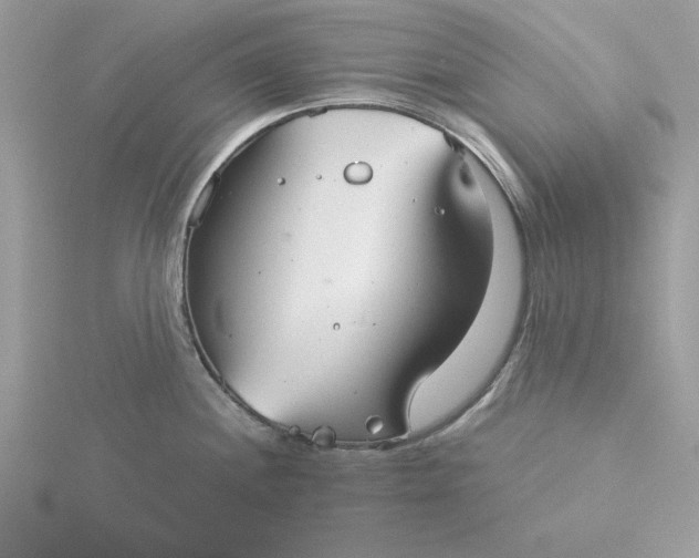 X0000116041244200912041805