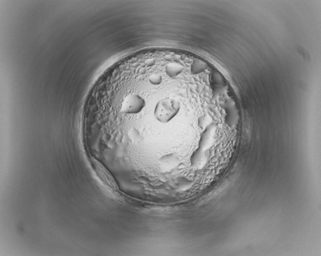 X0000116041245200912041805