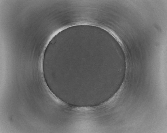 X0000116041246200912041805