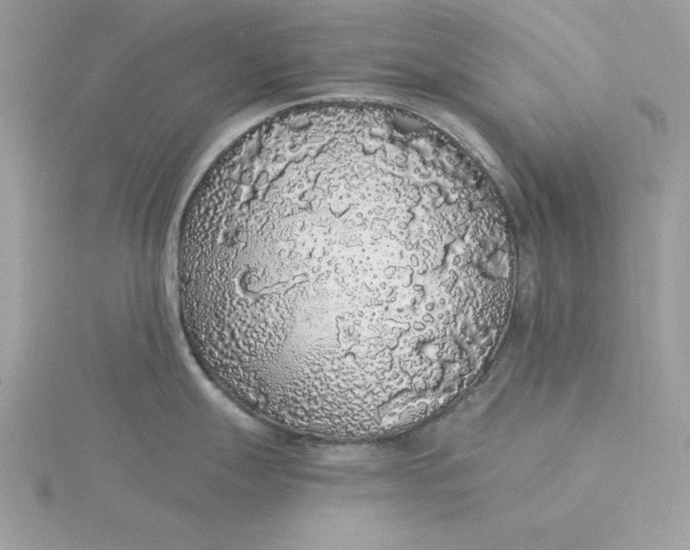 X0000116041247200912041805