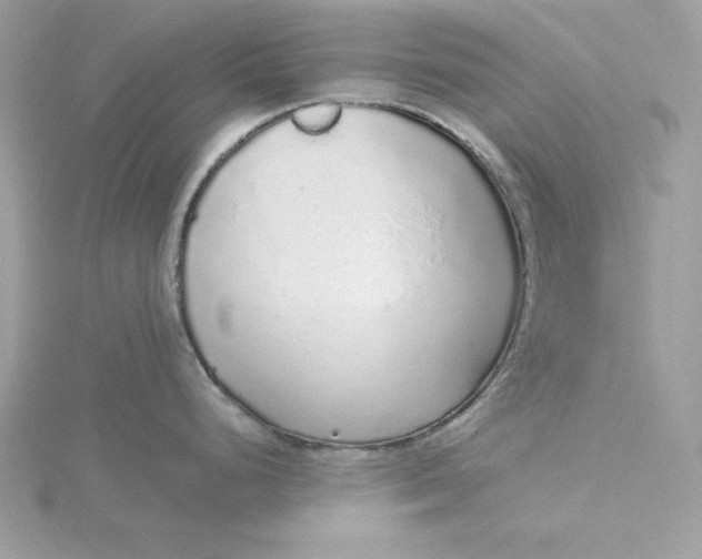 X0000116041248200912041805