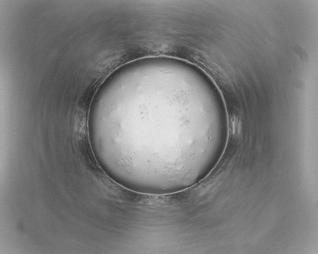 X0000116041251200912041804