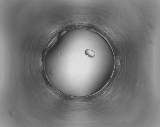 X0000116041252200912041804