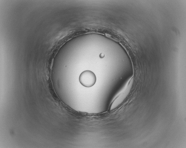 X0000116041253200912041804