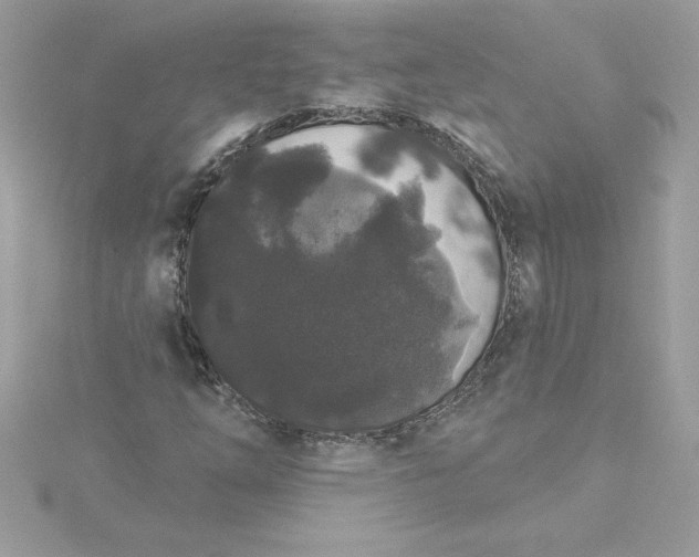 X0000116041254200912041804