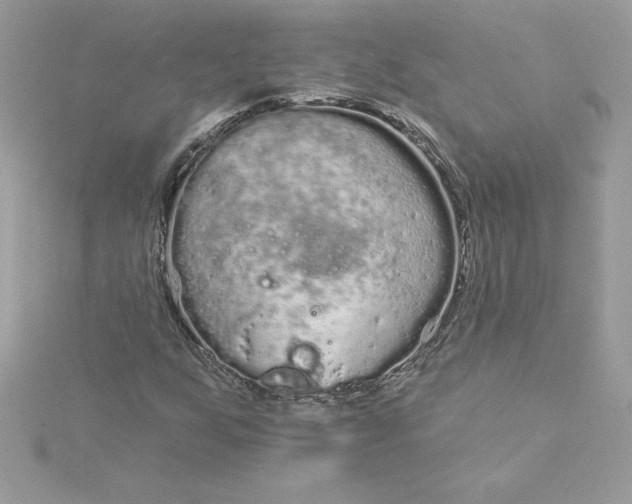 X0000116041255200912041804