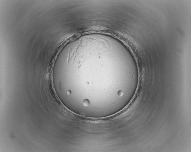 X0000116041257200912041804