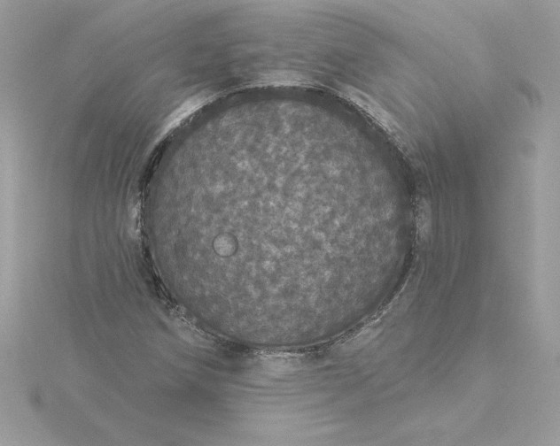 X0000116041258200912041804