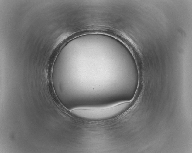 X0000116041259200912041804