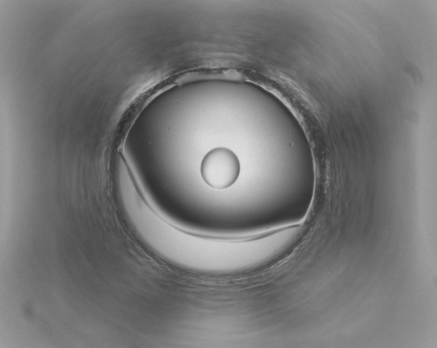 X0000116041261200912041804