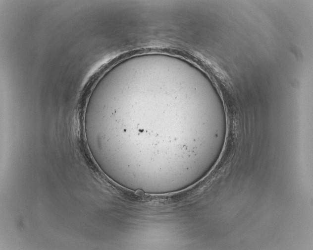 X0000116041262200912041804