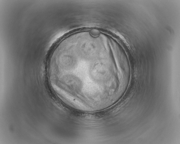 X0000116041263200912041804