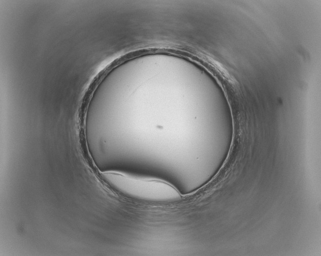 X0000116041264200912041804