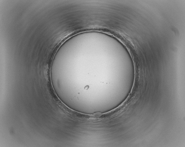 X0000116041265200912041804