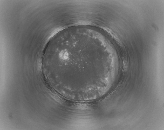 X0000116041266200912041804