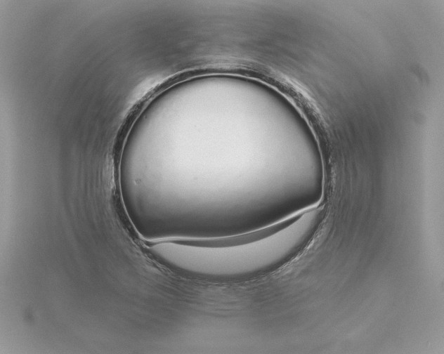 X0000116041267200912041804