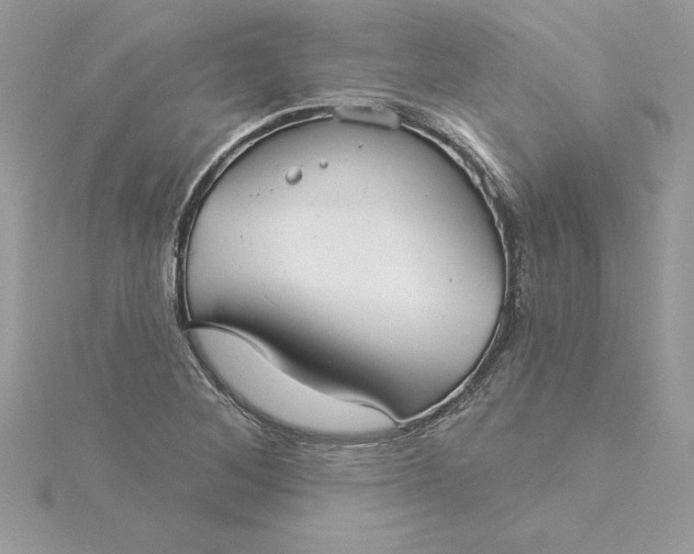 X0000116041268200912041804