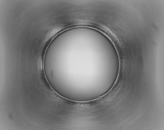 X0000116041269200912041804