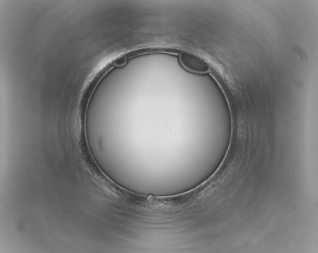 X0000116041270200912041804