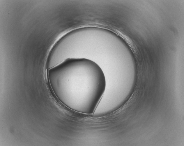 X0000116041272200912041804