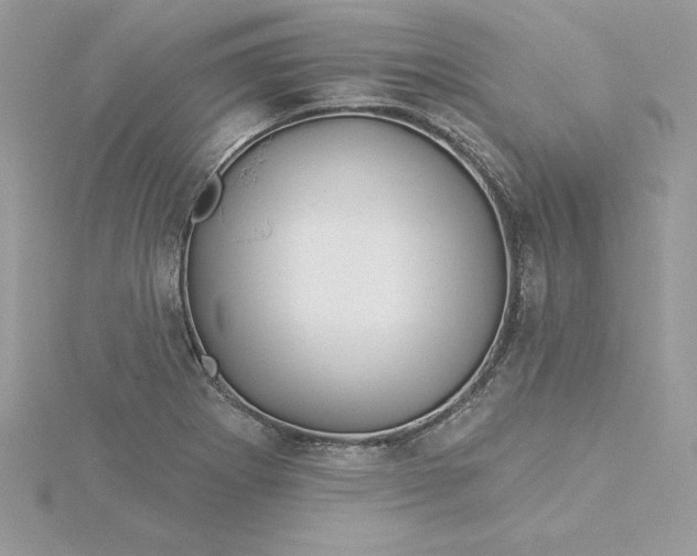 X0000116041273200912041804