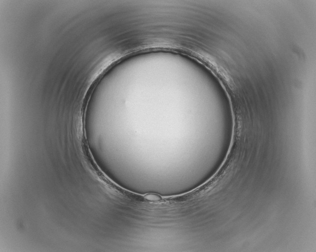 X0000116041274200912041804