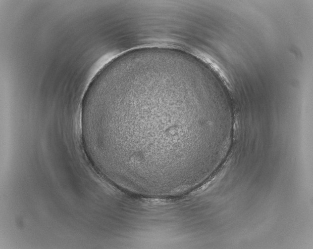 X0000116041275200912041804