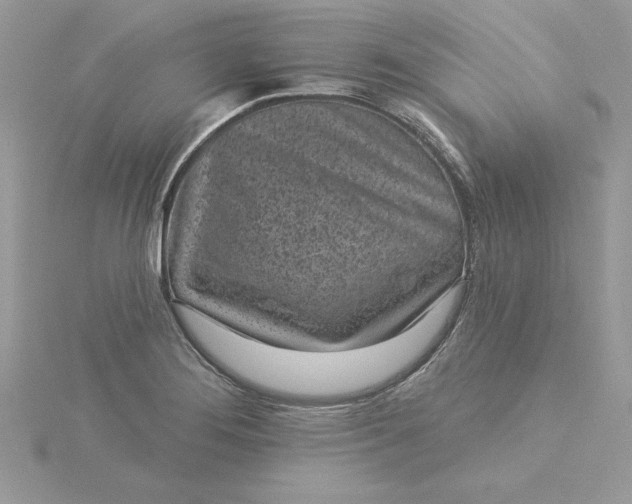 X0000116041276200912041804