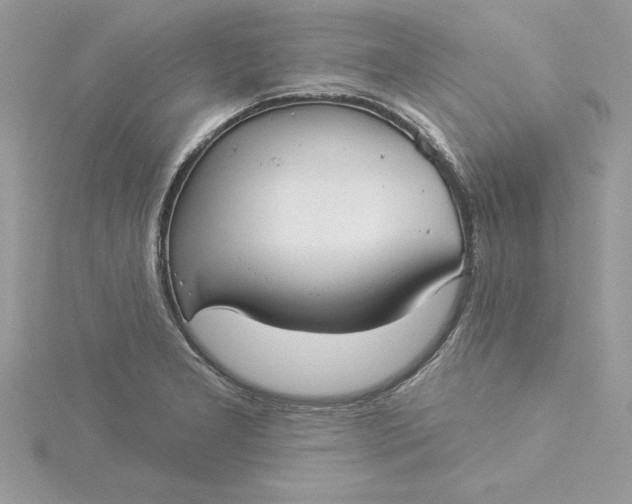 X0000116041277200912041804