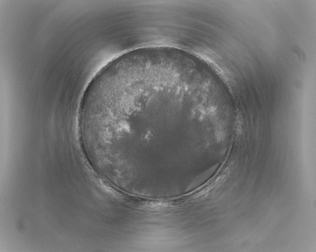 X0000116041278200912041804