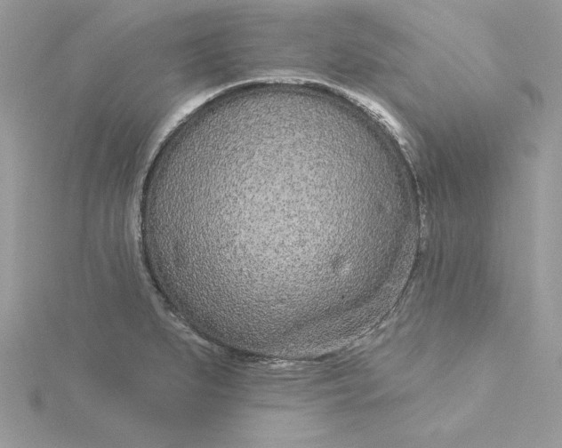 X0000116041279200912041804