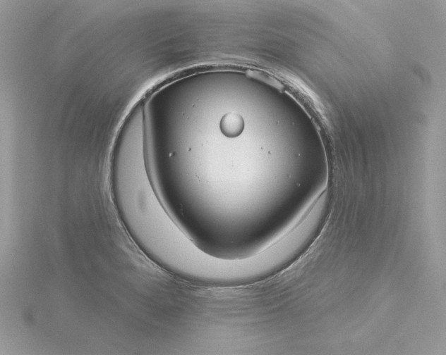 X0000116041280200912041804