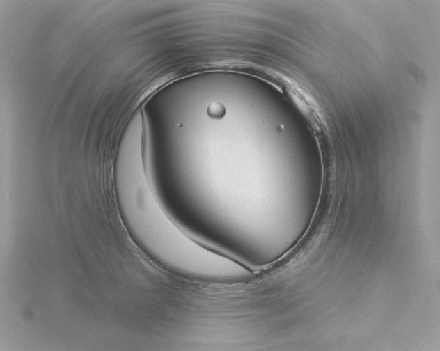 X0000116041281200912041804