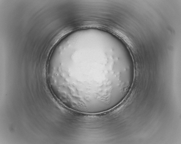 X0000116041282200912041804