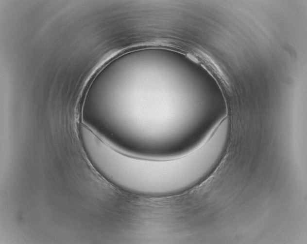 X0000116041284200912041804