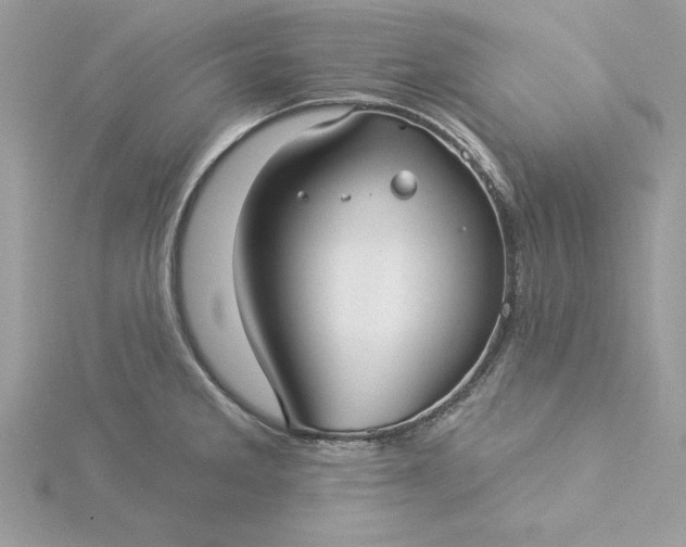 X0000116041285200912041804