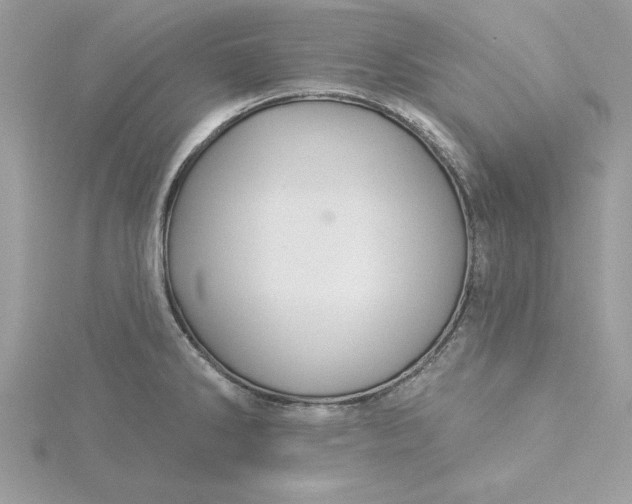 X0000116041286200912041804