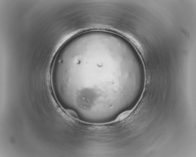 X0000116041287200912041804