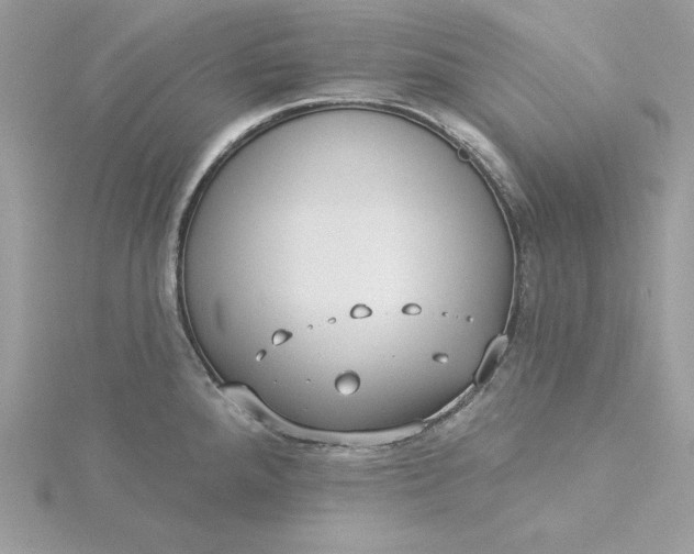 X0000116041288200912041804