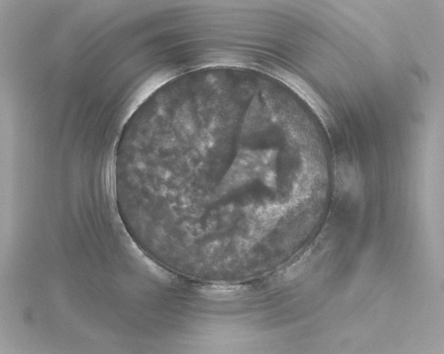 X0000116041290200912041804