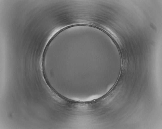 X0000116041291200912041804