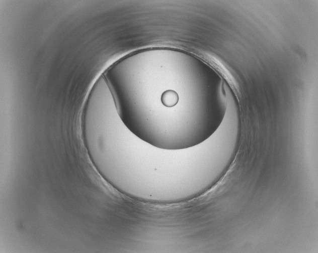 X0000116041292200912041804